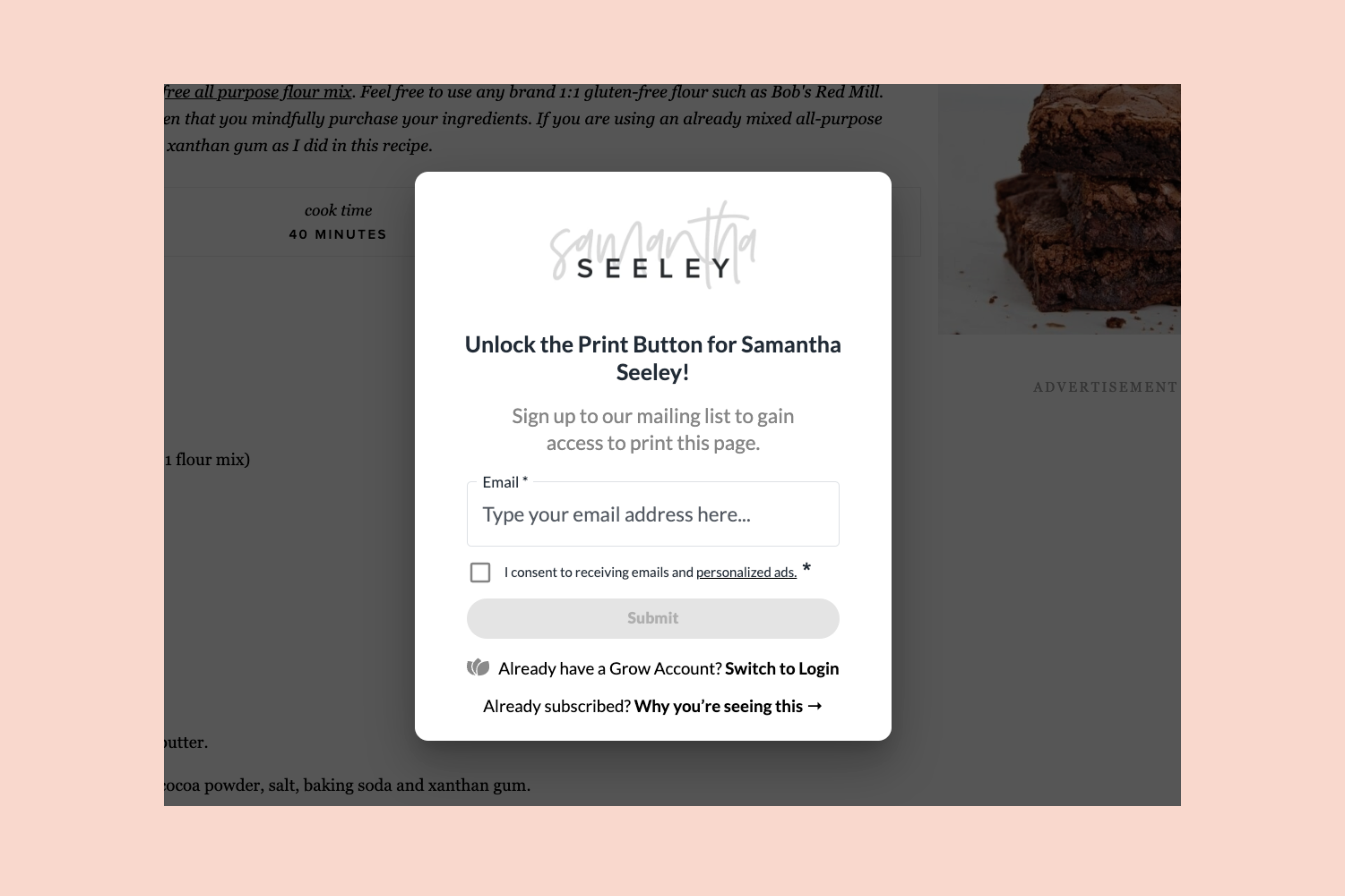 Print Pass Modal.png